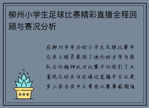 柳州小学生足球比赛精彩直播全程回顾与赛况分析